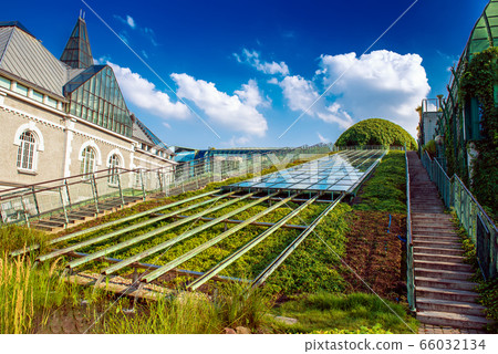 Warsaw library garden 66032134