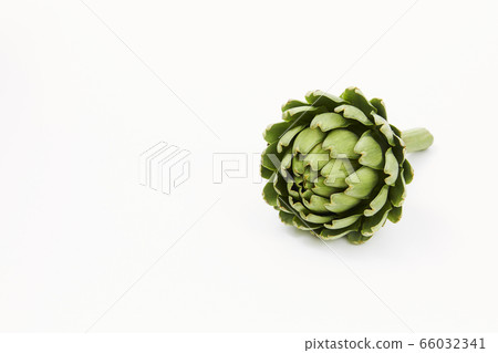 artichoke 66032341