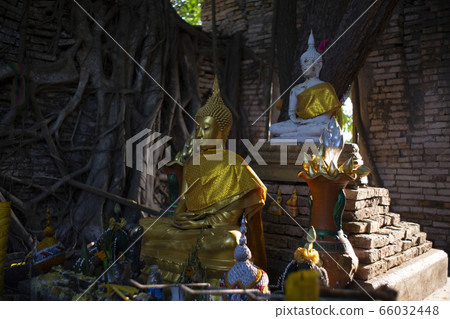 Public Ancient golden buddha statue in church, Public Ancient golden buddha statue in church, 66032448