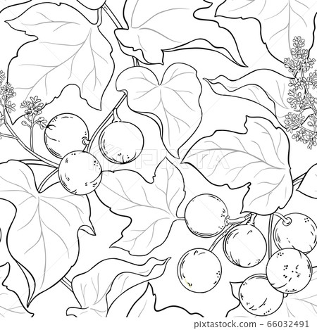 kukui vector pattern 66032491