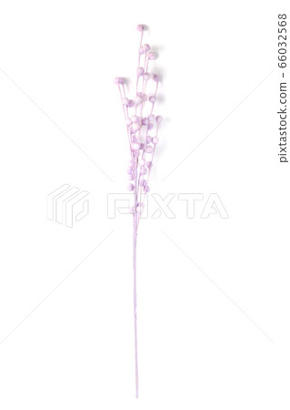 Beautiful artificial branch 66032568