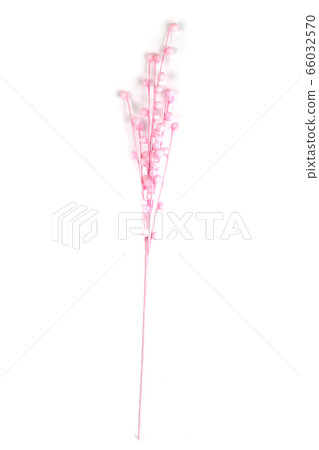 Beautiful artificial branch 66032570