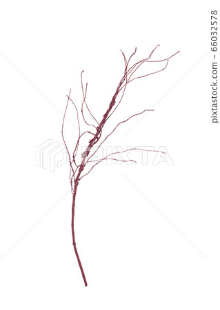 Beautiful artificial branch 66032578