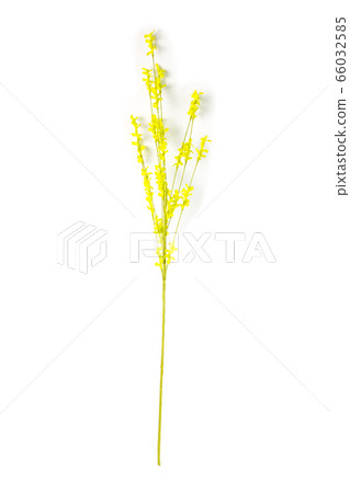 Beautiful artificial flower 66032585