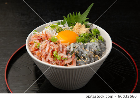 Raw cherry shrimp and shirasu bowl Raw cherry shrimp and shirasu bowl 66032666