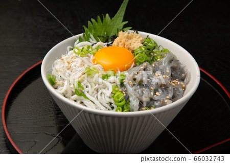 Shirasu 66032743