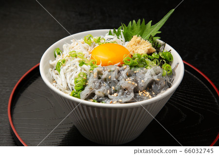 Shirasu 66032745