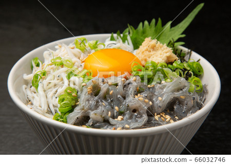 Shirasu 66032746