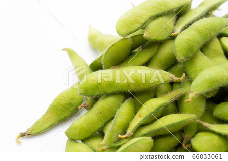Edamame 66033061
