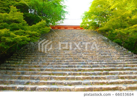 Long stone steps toward the gate (Jingoji Temple / Takaocho Umegahata, Ukyo-ku, Kyoto) 66033684