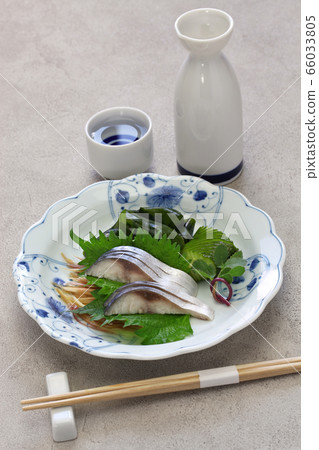 Shark mackerel 66033805