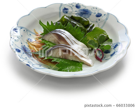 Shark mackerel 66033806