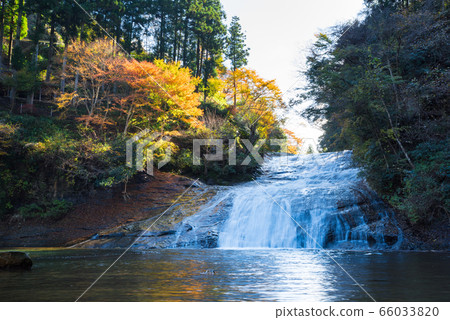 Yoro Valley Awamanotaki Fall（千葉縣）2019年12月照片 66033820