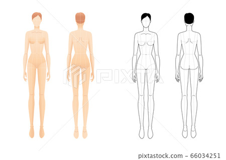 Fashion template of standing women.  66034251