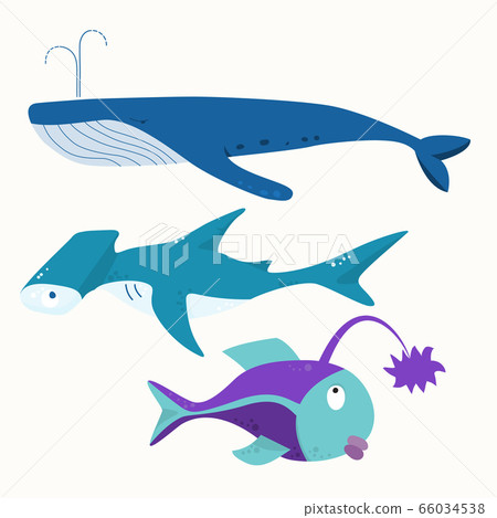 set of fish - whale, hammerhead shark, fish with a 66034538