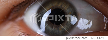 Male grey green colored right eye Male grey green colored right eye 66034799
