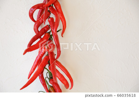 Hot red chili Hot red chili 66035618