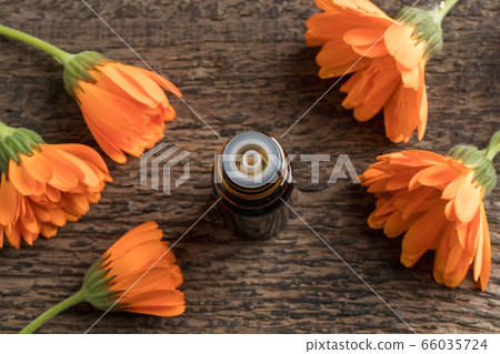 A bottle of calendula essential oil with calendula A bottle of calendula essential oil with calendula 66035724