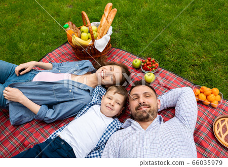 Above view of young family with cute little kid lying together on checkered blanket during picnic outdoors 66035979
