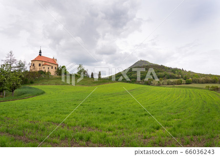 Green mixed forest on Milesovka, highest mountain of Ceske stredohori with lookout tower and meteorological station and observatory, Czech Republic 66036243