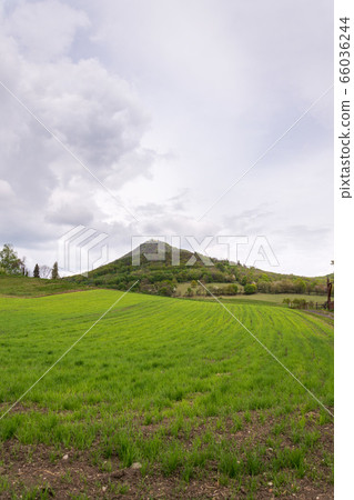 Green mixed forest on Milesovka, highest mountain of Ceske stredohori with lookout tower and meteorological station and observatory, Czech Republic 66036244
