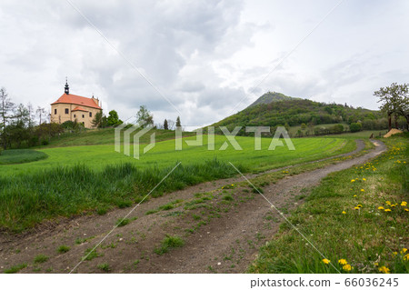 Green mixed forest on Milesovka, highest mountain of Ceske stredohori with lookout tower and meteorological station and observatory, Czech Republic 66036245