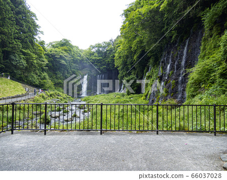 Shiraito Falls(初夏) Shiraito Falls(初夏) 66037028