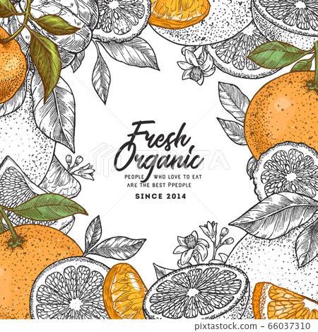 Citrus colored frame design template. Citrus colored frame design template. 66037310