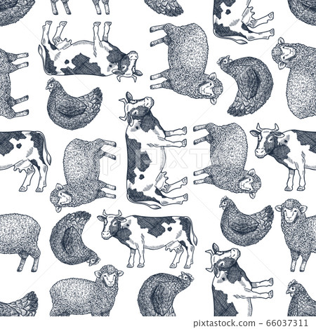 Farm animals seamless pattern. Farm animals seamless pattern. 66037311