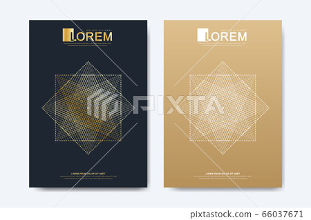 Modern vector template for brochure Leaflet flyer advert cover magazine or annual report. A4 size. Business, science, medical design book layout. Golden cybernetic dots. Lines plexus. Card surface. 66037671