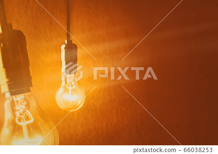 light bulb light bulb 66038253