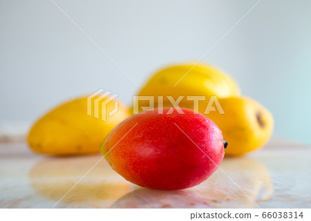 Multicolored mango fruit on the table. Selective focus on red mangoes. 66038314
