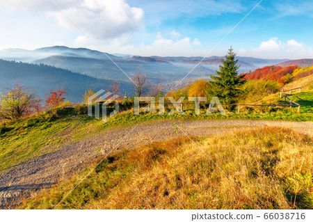 tree on misty morning in mountainous countryside. tree on misty morning in mountainous countryside. 66038716
