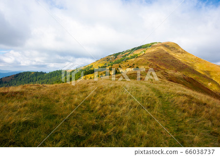 mountain in weathered grass in autumn. beautiful mountain in weathered grass in autumn. beautiful 66038737