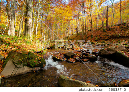 Mountain river in autumn forest. autumn landscape. Mountain river in autumn forest. autumn landscape. 66038740
