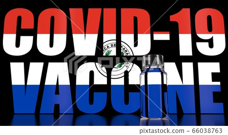 New coronavirus vaccine with text and flag of Paraguay as a background. Paraguayan medical research and vaccination. 3D rendering 66038763