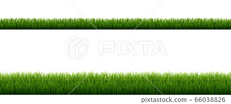 Green Grass Border With Isolated White Background Green Grass Border With Isolated White Background 66038826