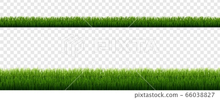 Green Grass Border With Isolated Transparent 66038827