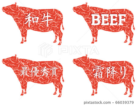 大理石紋輪廓/字符 66039379