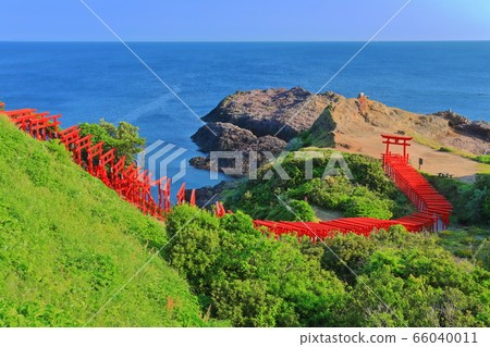 [山口縣]元之os神社在晴朗的天氣下 66040011