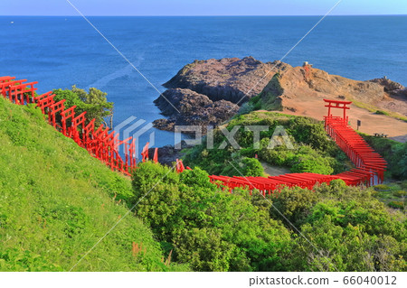 [山口縣]元之os神社在晴朗的天氣下 66040012