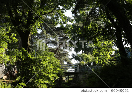 城北區正陵谷胡同 66040061