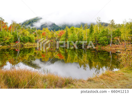 在Norikura Kogen Maimenoike的秋天 66041213
