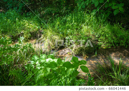 Kitamoto Campfield Seseragi River Sun Amenity Fresh Green 66041446