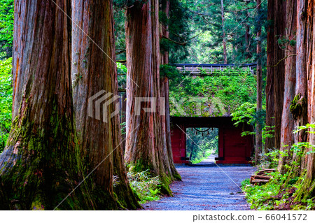 時事神社/大社法 66041572
