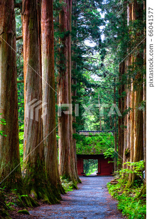 時事神社/大社法 66041577