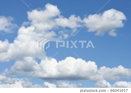 仲夏雲 66041657
