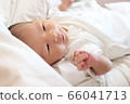baby   66041713