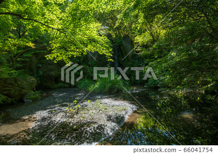 北本宿菲爾德塞斯拉吉河陽光洗手間新鮮綠色 北本宿菲爾德塞斯拉吉河陽光洗手間新鮮綠色 66041754