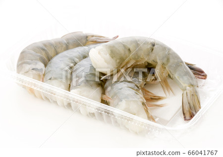 Black tiger 66041767